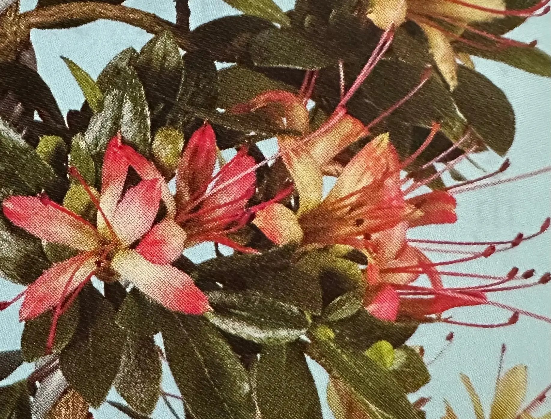 Satsuki 'Akasenbazuru' Canada Bonsai