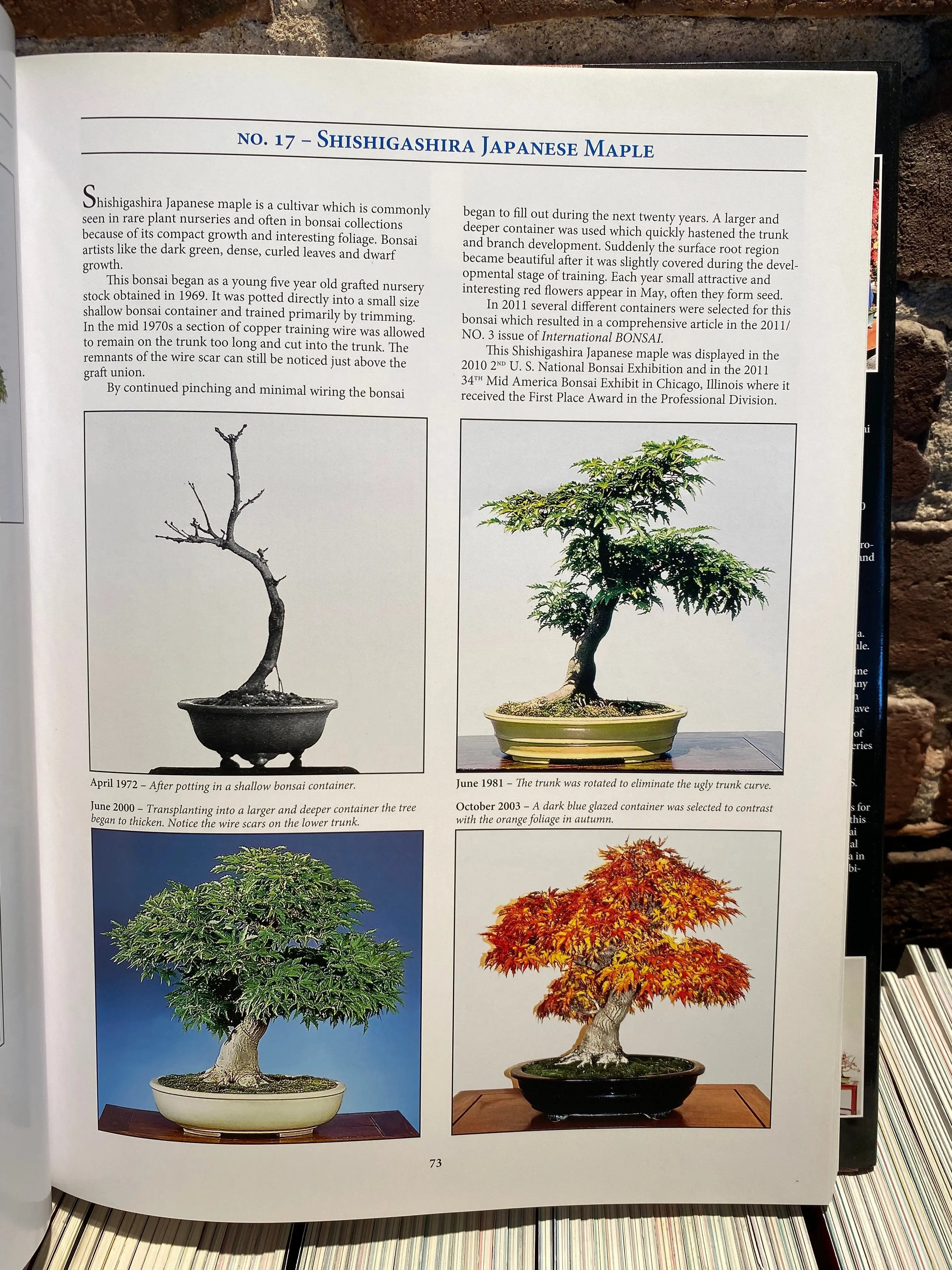 Classical Bonsai Art (signed) CB Books