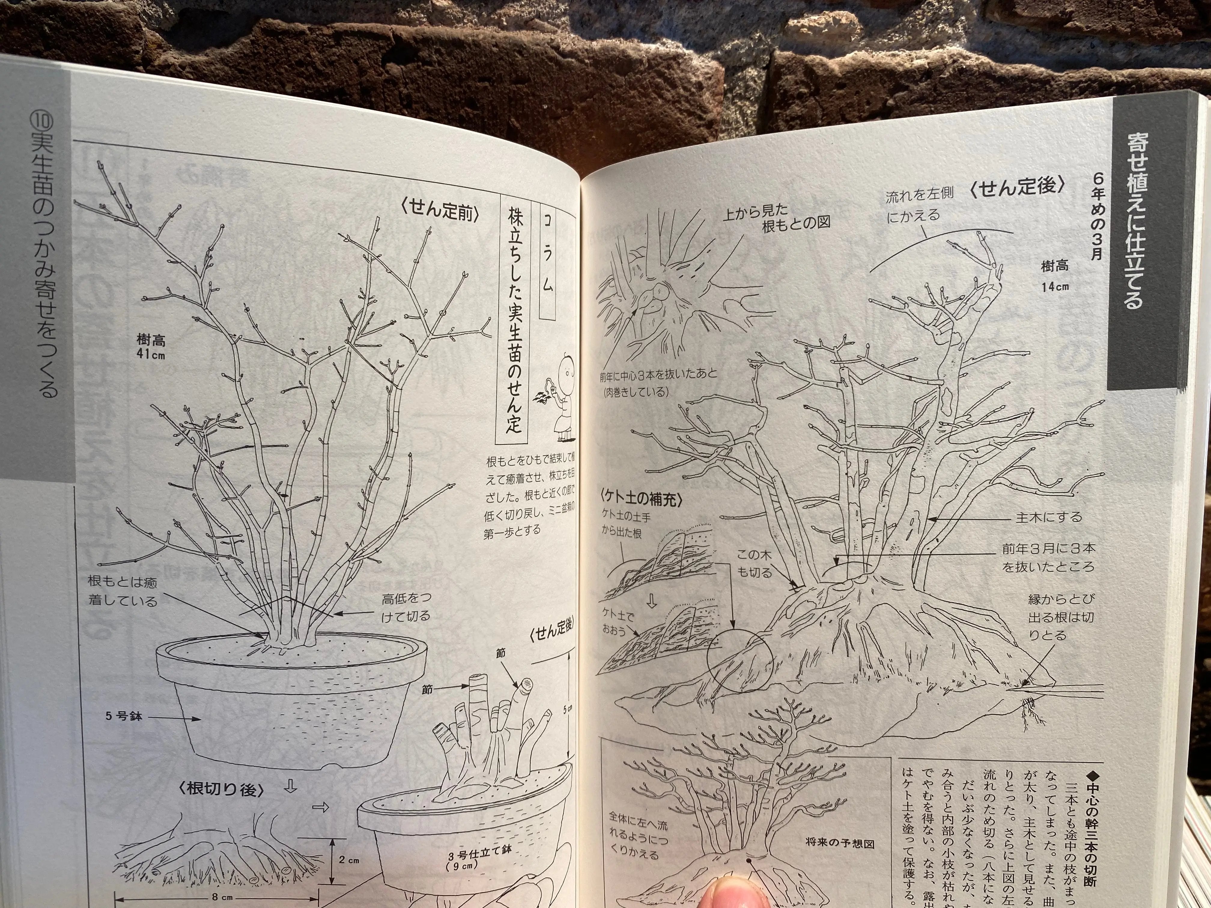 Kyosuke Gun's Illustrated mini bonsai CB Books