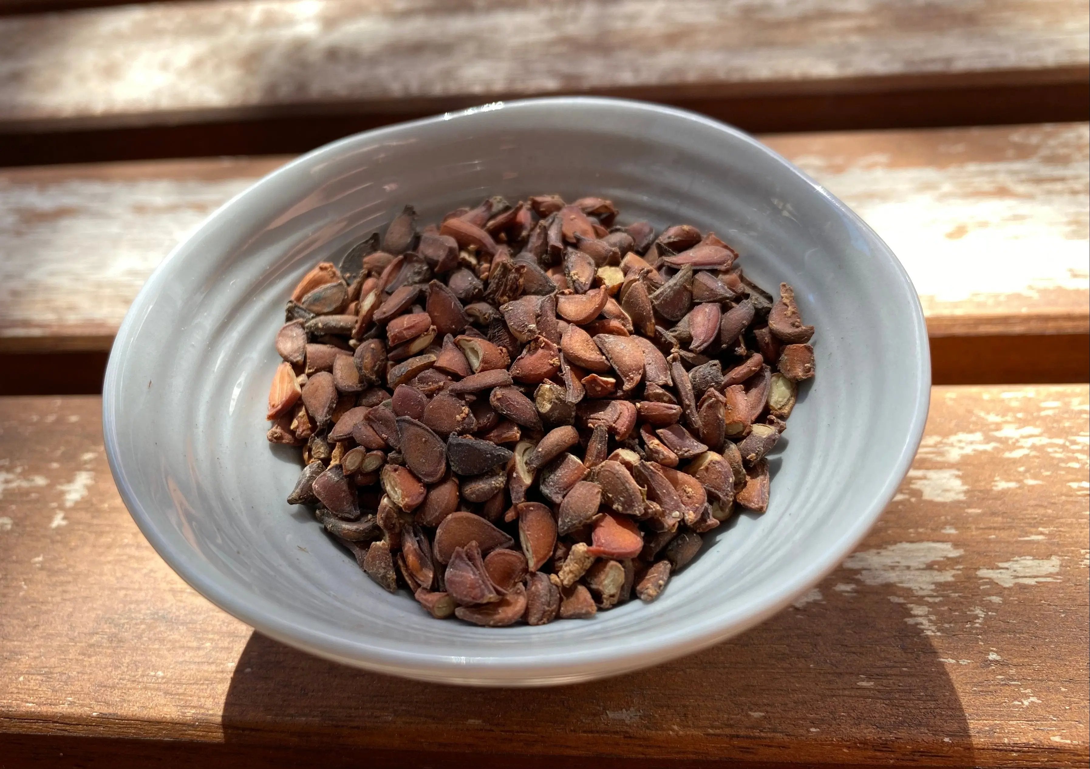 Pseudocydonia sinensis (Chinese Quince) CB Seeds