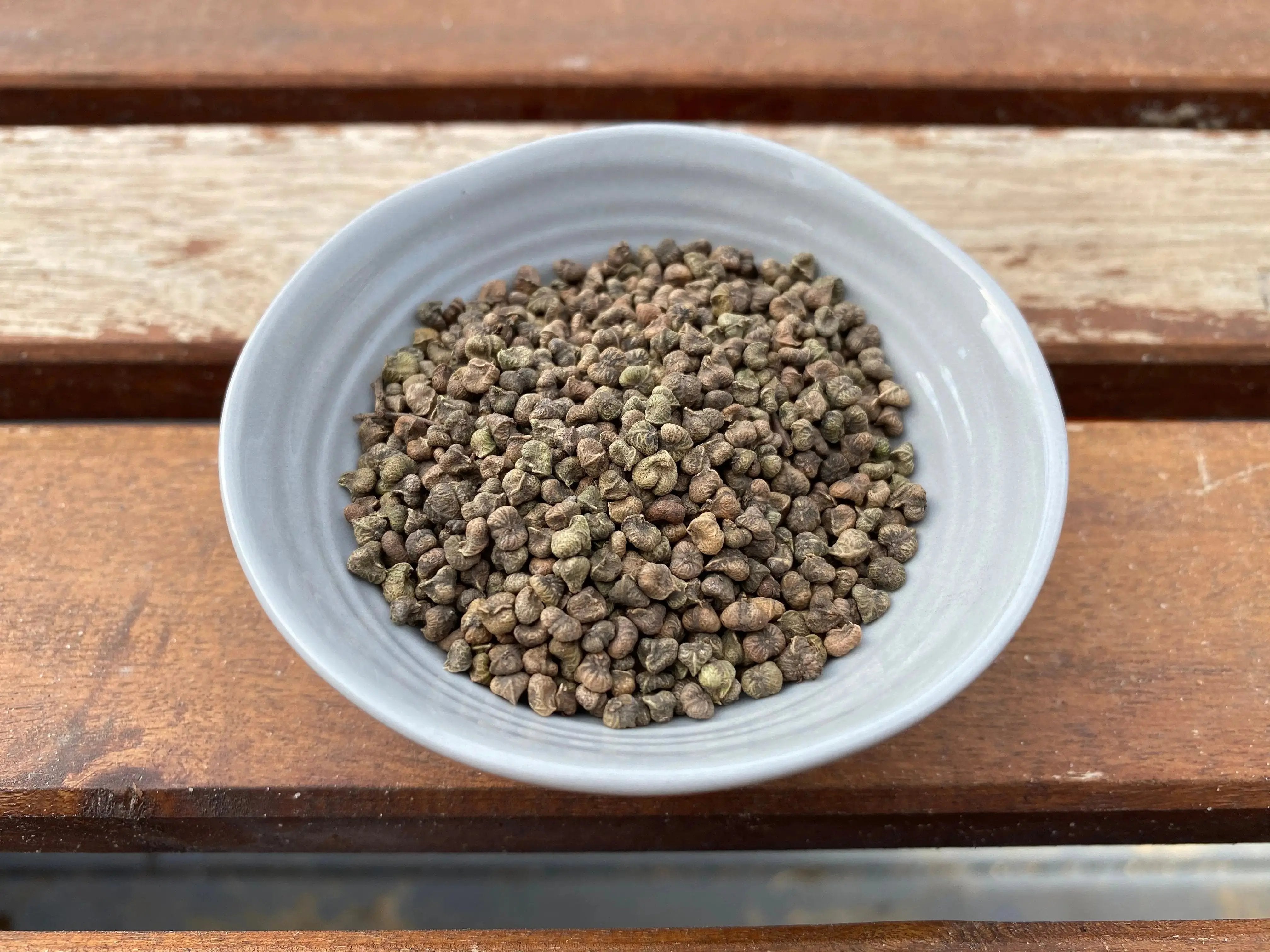 Zelkova serrata CB Seeds