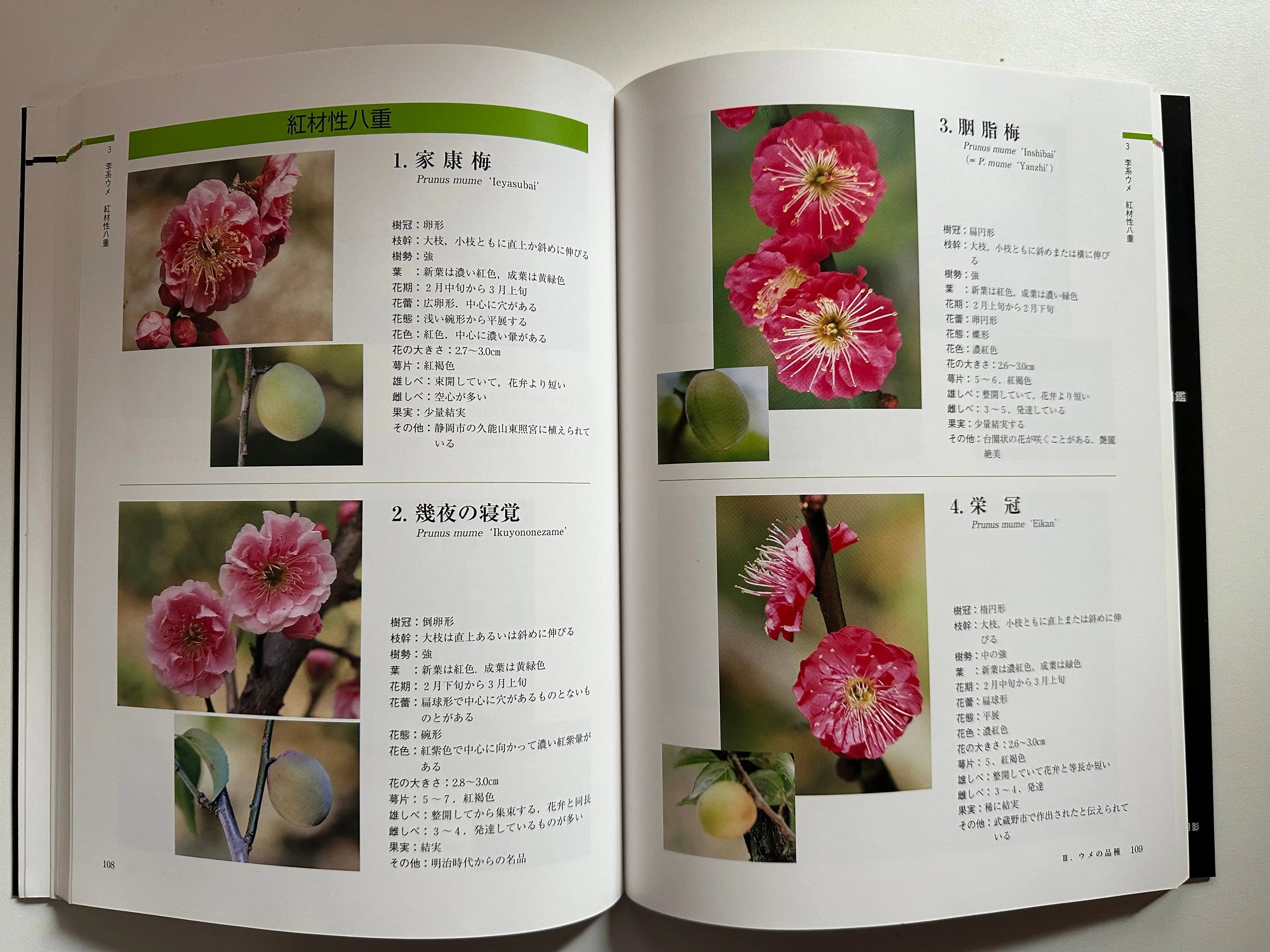 Ume Encyclopedia CB Books