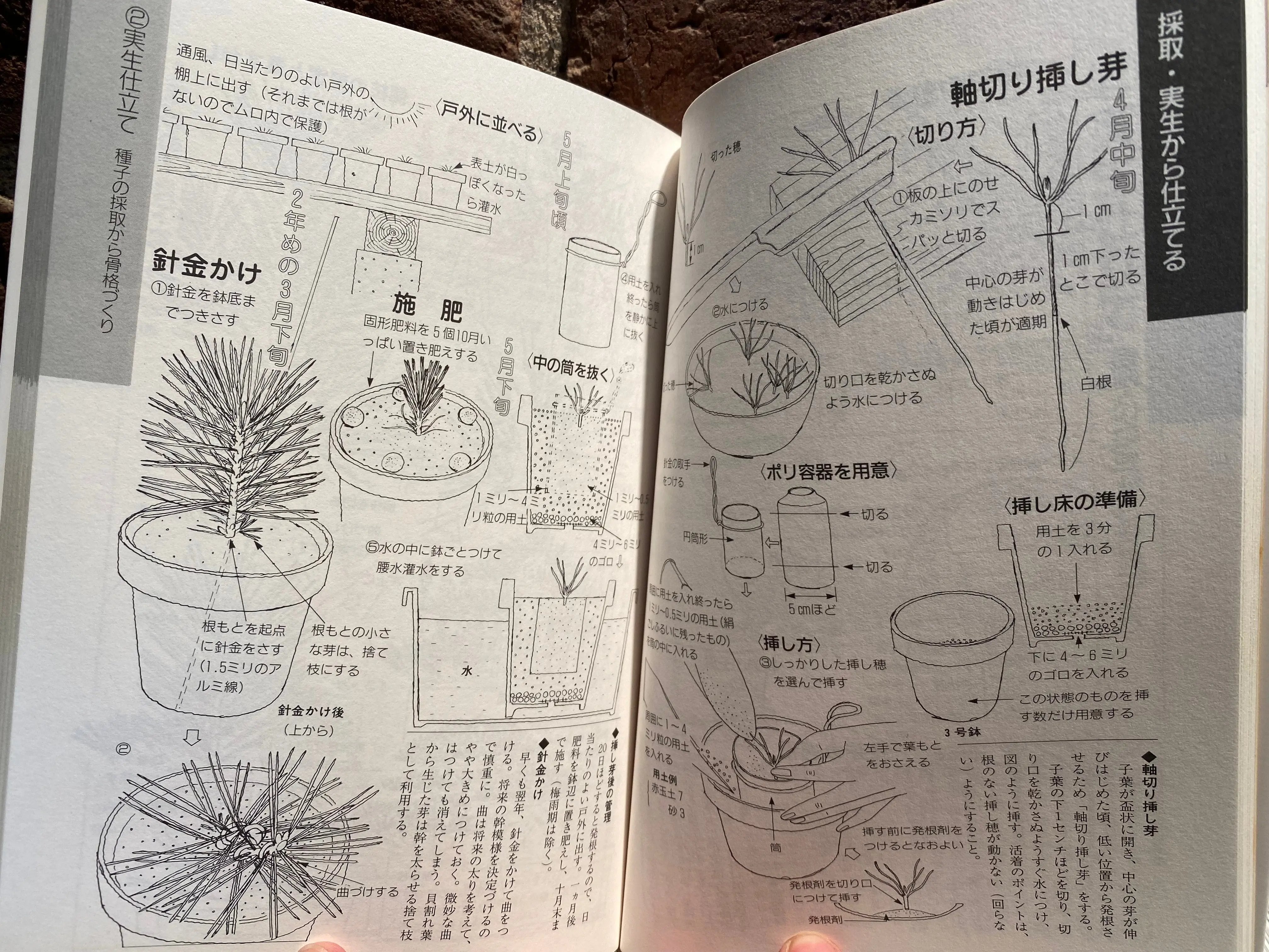 Kyosuke Gun's Illustrated mini bonsai CB Books